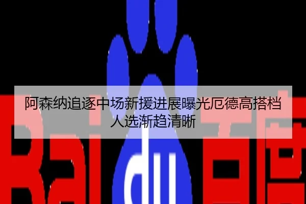 阿森纳追逐中场新援进展曝光厄德高搭档人选渐趋清晰