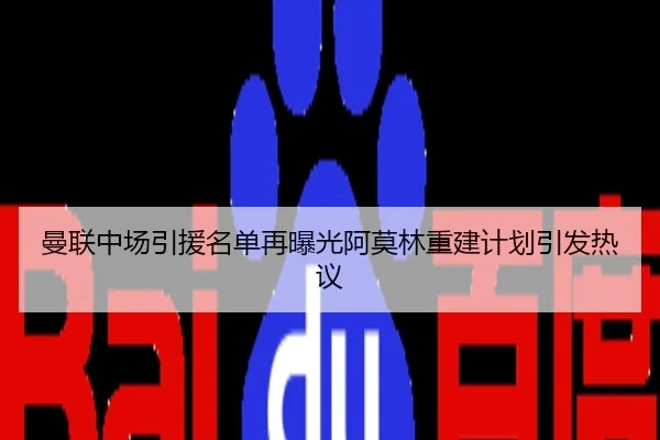 曼联中场引援名单再曝光阿莫林重建计划引发热议